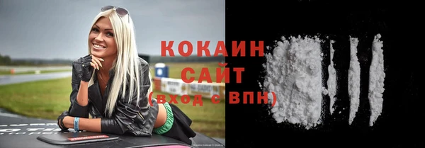 шишки Армянск
