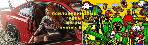 шишки Армянск