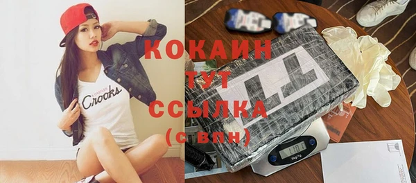 шишки Армянск