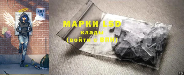 стаф Арсеньев