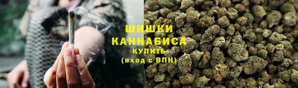 шишки Армянск