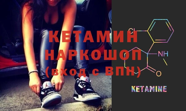 стаф Арсеньев
