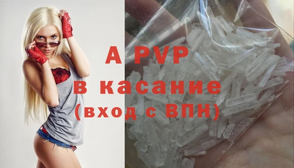 стаф Арсеньев